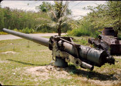 Wilcommen, No. 0114 Last Command Post Cannon and Tank